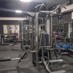 Monkey Gym