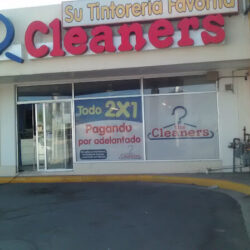 The Cleaners