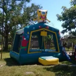 Inflables ducks party