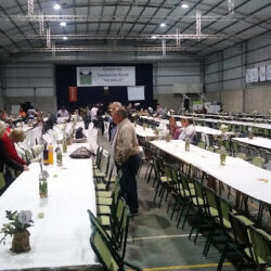 CFR SALADILLO