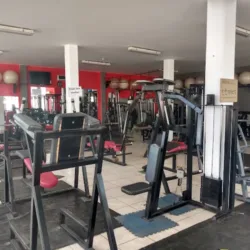 Bakgym