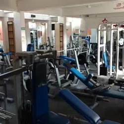 Starfit