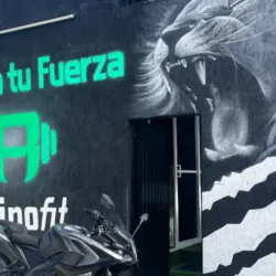 Reino Fit