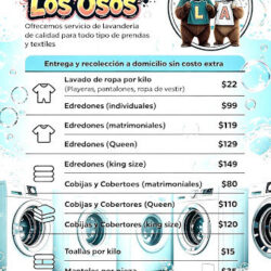 Lavandería los osos