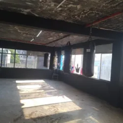 Gimnasio México