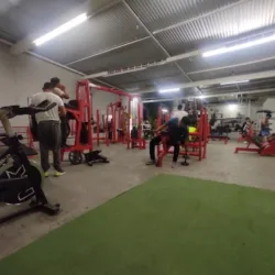 Taurus Gym