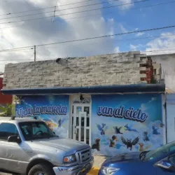 Incineración De Mascotas