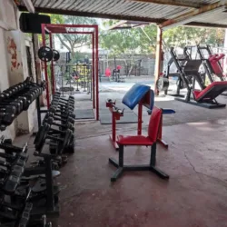 Gimnasio: Esencia