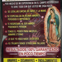 Tarot luna leon