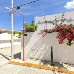 Colibrí