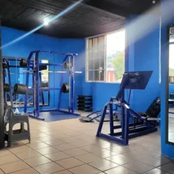Atomic Ant Gimnasio