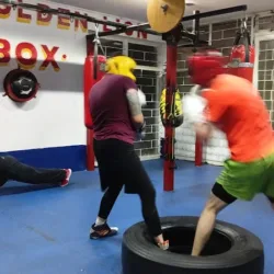 GYM GOLDEN LION