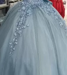 Diseños Rosas