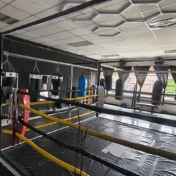 Leox Gym Box