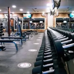 Gym Muscle Industry Y Clases de Zumba