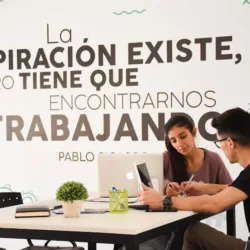 MDL - Agencia de Marketing Digital & Diseño Web SRL