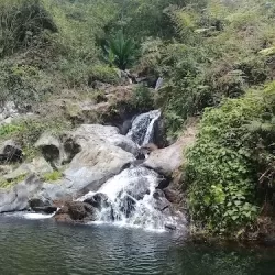 Mercería, Corseteria y Costuras "Las Margaritas"