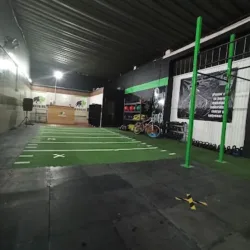 Buffalos training center