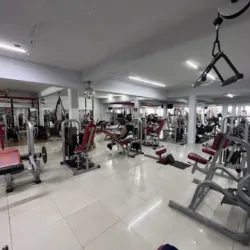 GREKO GYM