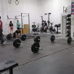 Trust Fitness LM