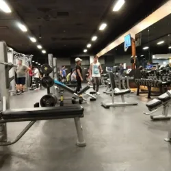 Gimnasio Smart Fit - Bernardo Quintana