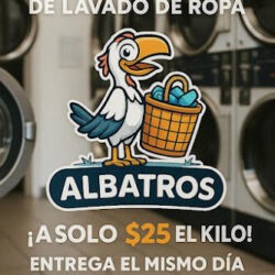 Albatross lavandería