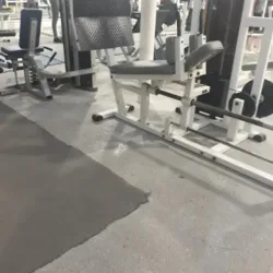 Force GYM