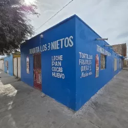 Tienda Los 3 Nietos