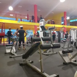 Force gym