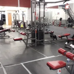 Gimnasio REX