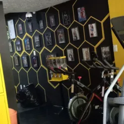 Sport's Live Gym