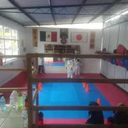 Baby karate