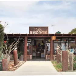 Casa El Viejo Cactus