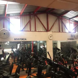 Olympus Gym & fitness