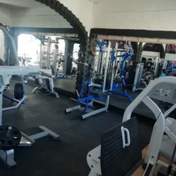 Body fit gym