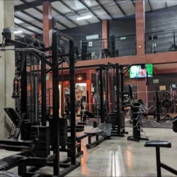 BigDeer Fitness Gym
