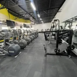 Stay fit gym