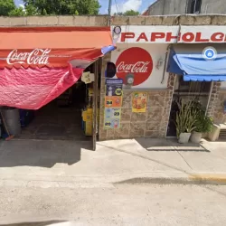 papeleria papholchac