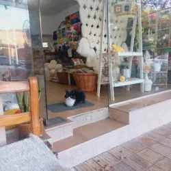 Manos De Monte