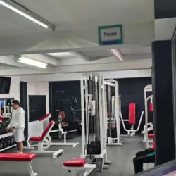 Fitness Evolution