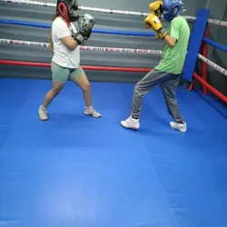 Gimnasio De Boxeo Rojas