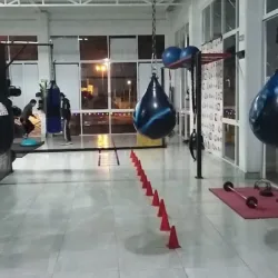 Box funcional 40