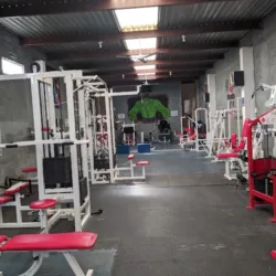 Espartan GYM