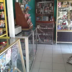 Papelería y Mercería Janet