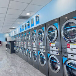 Wash Cycle