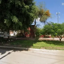 Sociedad Humanista
