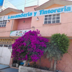 Lavandería y Tintorería La Económica