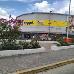 Coppel Margaritas