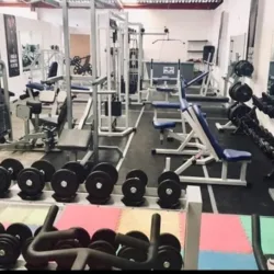 Max Gym