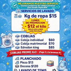Lavandería Aletrix